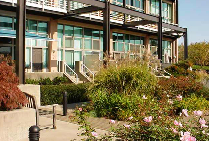 CantonCoveSquare_3.jpg