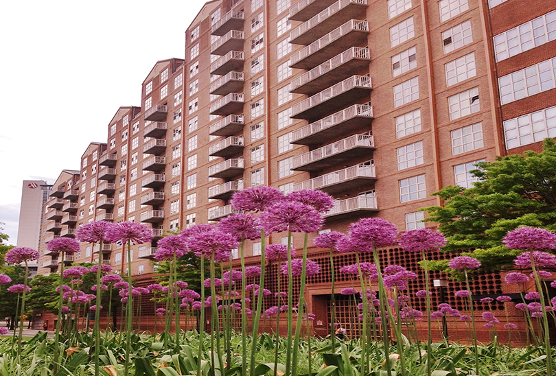 ScarlettPlaceSquare_3.jpg